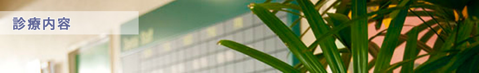 診療内容